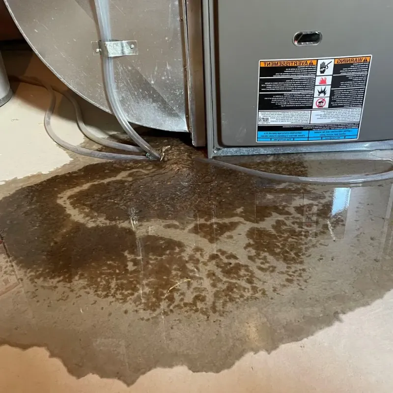 Pipe Burst and Leak Restoration in Webster County, KY