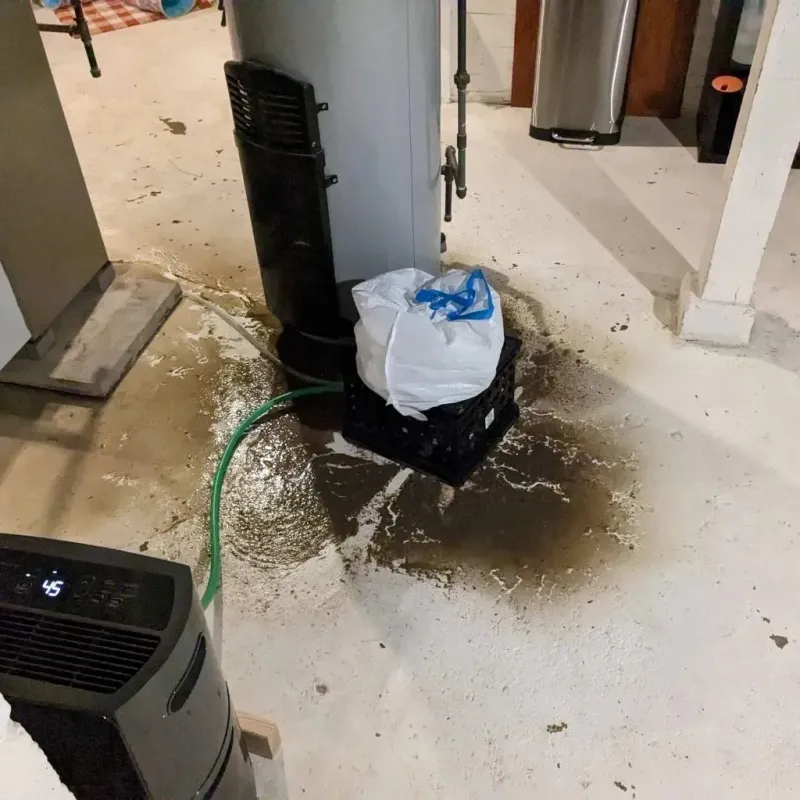 Sewage Backup Cleanup Service in Webster County, KY